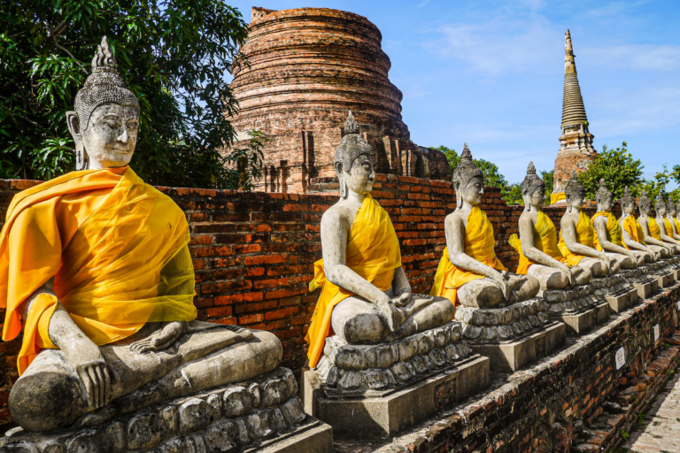 bangkokcatagory (6)