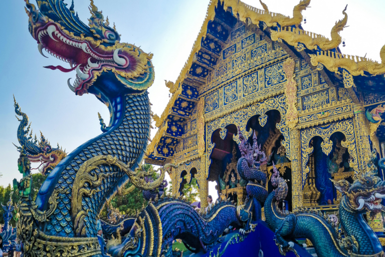 chiangmaicat (11)