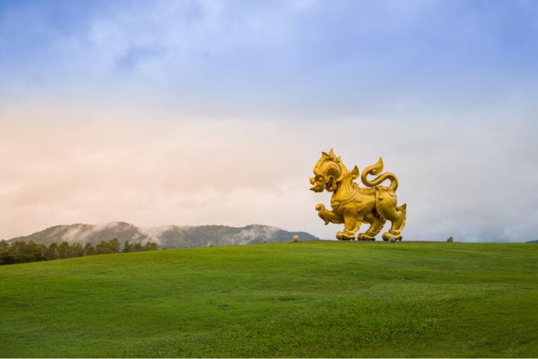 chiangmaicat (12)
