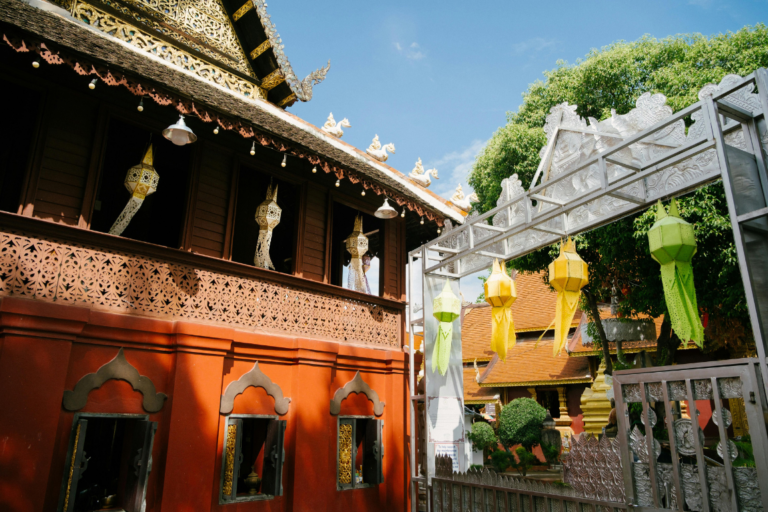 chiangmaicat (13)