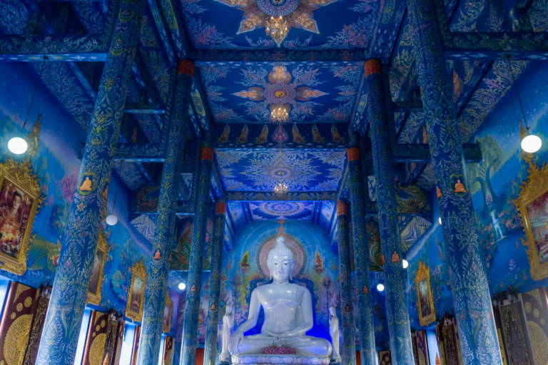 chiangmaicat (14)