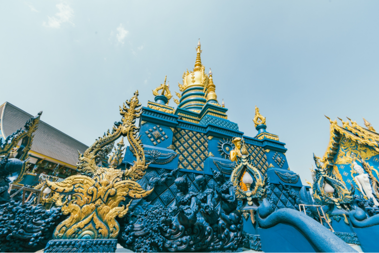 chiangmaicat (16)
