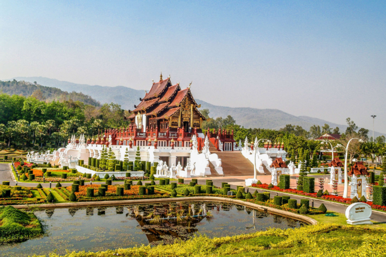 chiangmaicat (4)