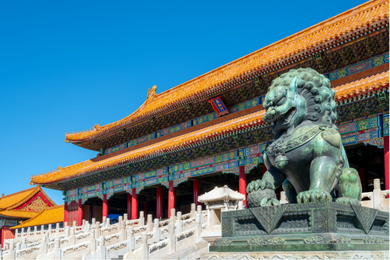 chinacat (10)