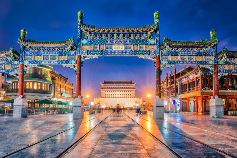 chinacat (11)