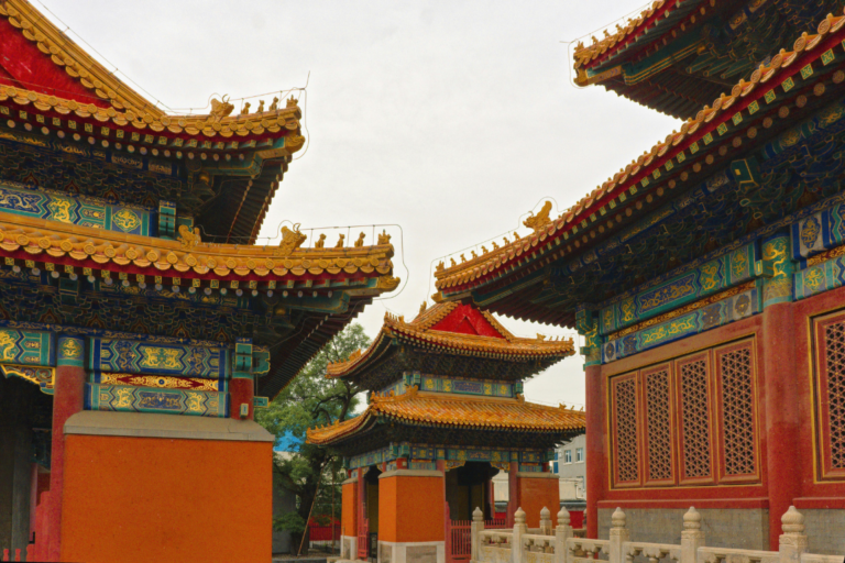 chinacat (14)