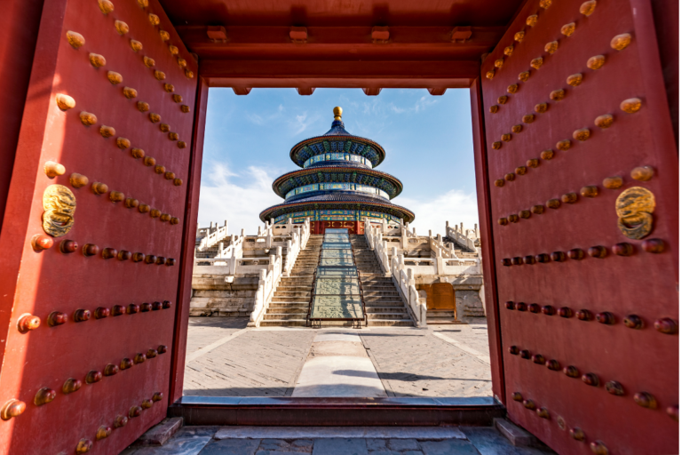 chinacat (15)