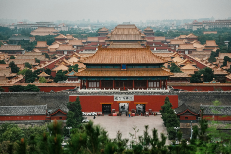 chinacat (20)