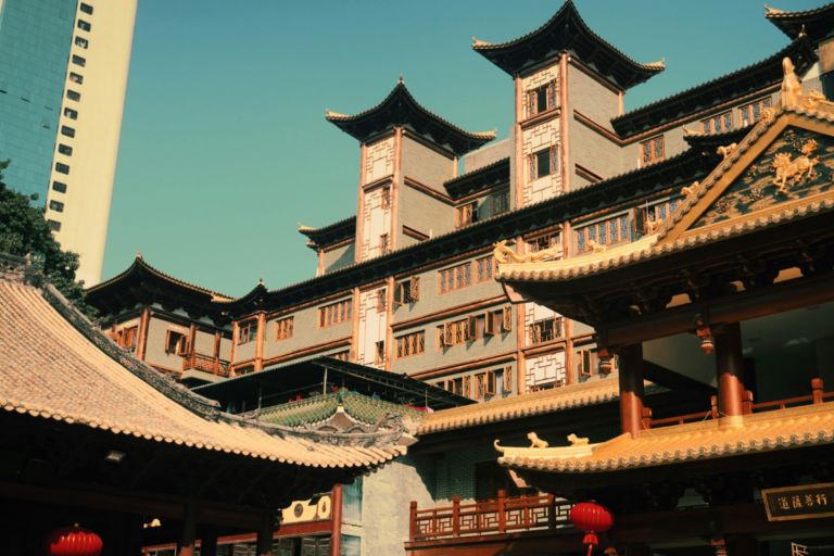chinacat (3)